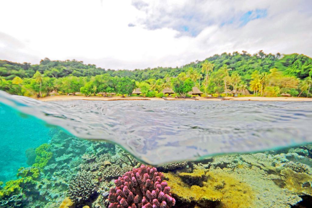 Qamea Resort & Spa Dreketi المظهر الخارجي الصورة